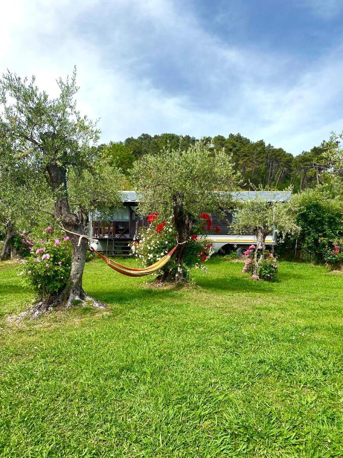 Stiava Azienda Agricola Della Mezzaluna מראה חיצוני תמונה