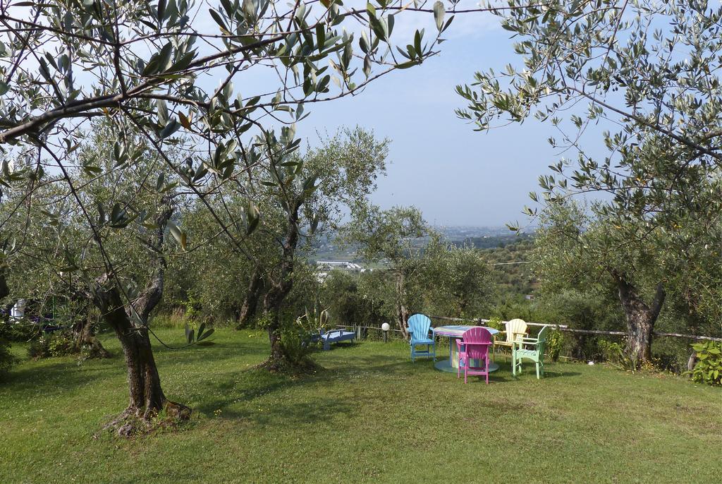 Stiava Azienda Agricola Della Mezzaluna מראה חיצוני תמונה