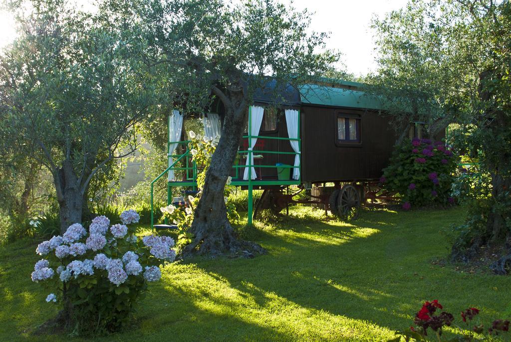 Stiava Azienda Agricola Della Mezzaluna מראה חיצוני תמונה