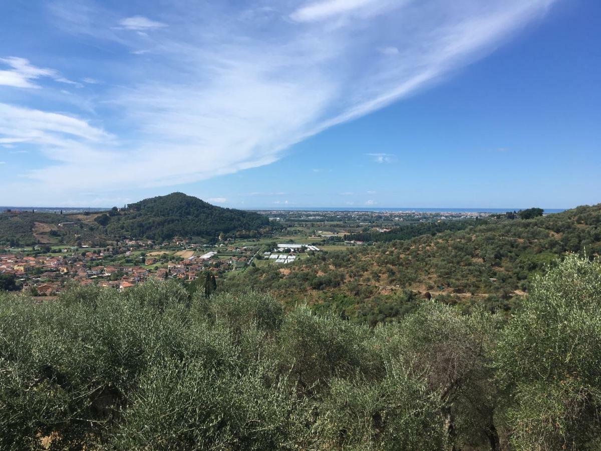 Stiava Azienda Agricola Della Mezzaluna מראה חיצוני תמונה